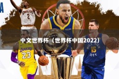 中文世界杯（世界杯中国2022）