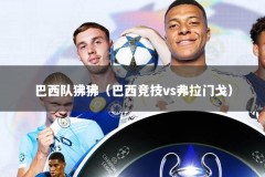 巴西队狒狒（巴西竞技vs弗拉门戈）