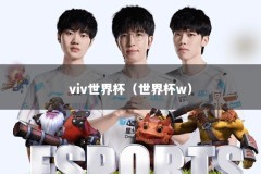 viv世界杯（世界杯w）