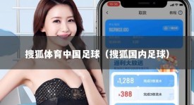搜狐体育中国足球（搜狐国内足球）