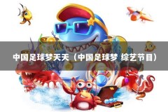 中国足球梦天天（中国足球梦 综艺节目）