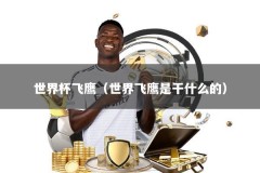 世界杯飞鹰（世界飞鹰是干什么的）