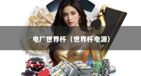 电厂世界杯（世界杯电源）