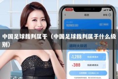 中国足球裁判属于（中国足球裁判属于什么级别）