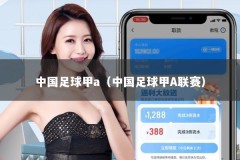 中国足球甲a（中国足球甲A联赛）