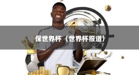 保世界杯（世界杯报道）