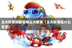 五大联赛别都是哪五大联赛（五大联赛是什么意思）