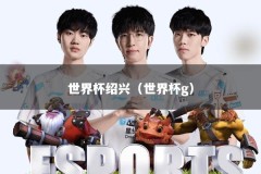 世界杯绍兴（世界杯g）
