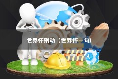 世界杯别动（世界杯一句）