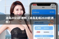 冰岛2021欧洲杯（冰岛无缘2020欧洲杯）
