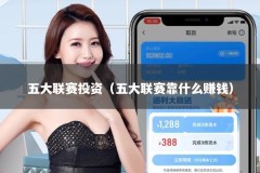 五大联赛投资（五大联赛靠什么赚钱）