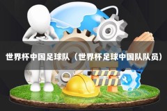 世界杯中国足球队（世界杯足球中国队队员）