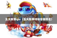 五大联赛qiu（五大联赛球场容量排名）