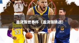 盖浇饭世界杯（盖浇饭挑战）