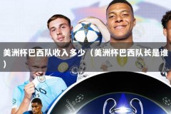 美洲杯巴西队收入多少（美洲杯巴西队长是谁）
