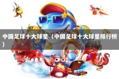 中国足球十大球星（中国足球十大球星排行榜）