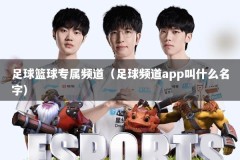 足球篮球专属频道（足球频道app叫什么名字）