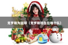 克罗斯为篮球（克罗斯现在在哪个队）