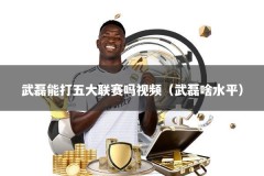 武磊能打五大联赛吗视频（武磊啥水平）