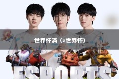世界杯滴（z世界杯）