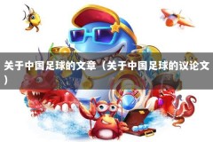 关于中国足球的文章（关于中国足球的议论文）