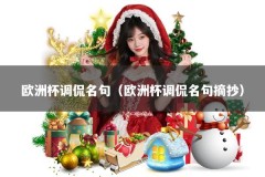 欧洲杯调侃名句（欧洲杯调侃名句摘抄）