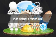 巴西队懒散（巴西队dgz）