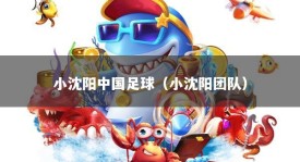 小沈阳中国足球（小沈阳团队）