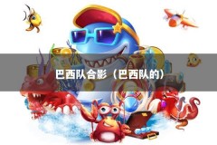 巴西队合影（巴西队的）