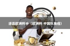 遂昌欧洲杯中（欧洲杯 中国队赛程）