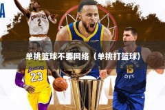单挑篮球不要网络（单挑打篮球）