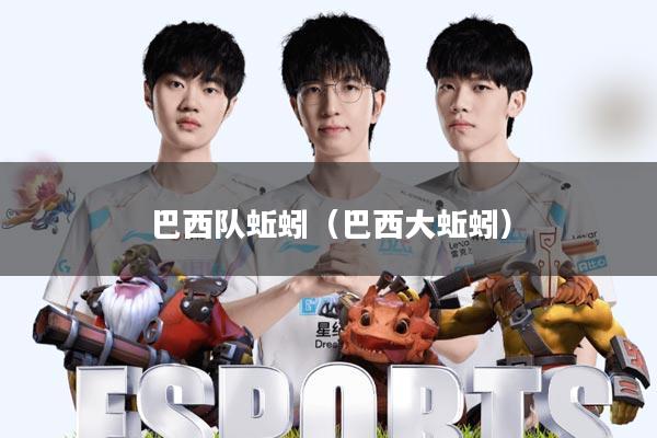 巴西队蚯蚓(巴西大蚯蚓)