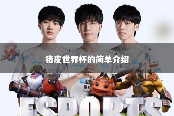 猪皮世界杯的简单介绍